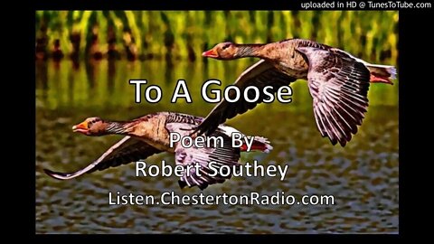 To A Goose - Poem By Robert Southey