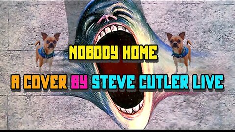 Nobody Home a cover by steve cutler