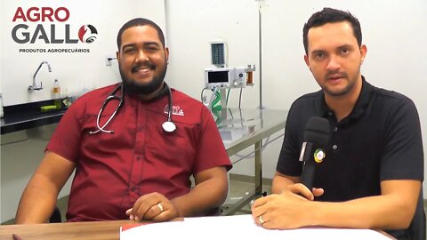 Conheça a Clinica Veterinária da Agro Gallo de Alta Floresta D´Oeste Ro