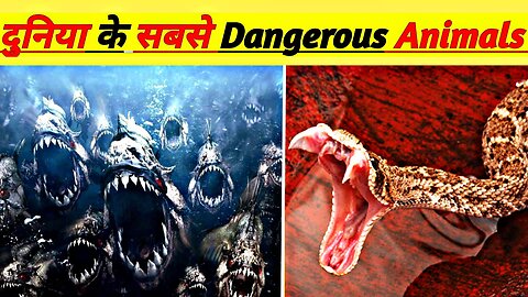 दुनिया के 6 सबसे dangerous animals | Most dangerous animals in the world? New Facts Official