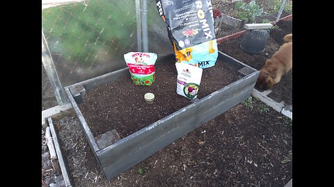 Planting Carrots For Fall Harvest 7/8/23