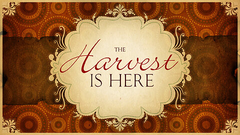 God's Harvest: Understanding The End Times