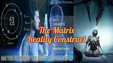 The Machine, the Octopus Trauma Energy and AI Spiders: How a Healer perceives the Matrix Construct