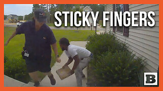 Thief Steals Package Right from FedEx Driver's Hands