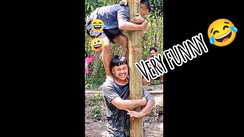 funny videos that make you laugh make your stomach hurt