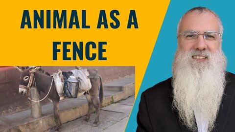 Mishna Eruvin Chapter 1 Mishnah 7 Animal as a fence