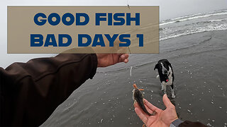 Good Fish Bad Days 1