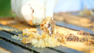 Beeswax