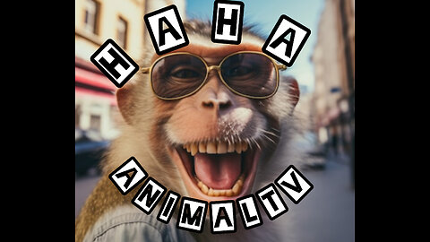 HAHA AnimalTV- Part 11😂🥀