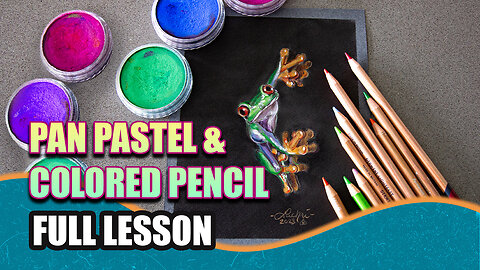 Full Art Lesson! Drawing a Red Eyed Tree Frog w/ Pan Pastels & Colored Pencil