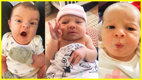Funny Newborn Babies Compilation - Cute Baby Video
