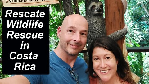 Rescate Wildlife Rescue Center in Costa Rica
