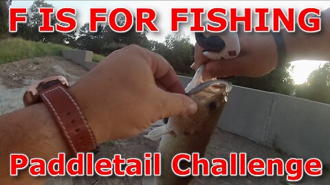 Paddletail Challenge