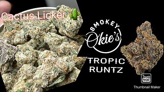 S6 Episode 3 Cactus Licker + Tropical Runtz Strain Review