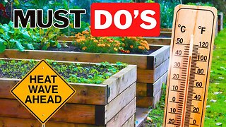 What Does Heat Stress In The Garden Look Like?