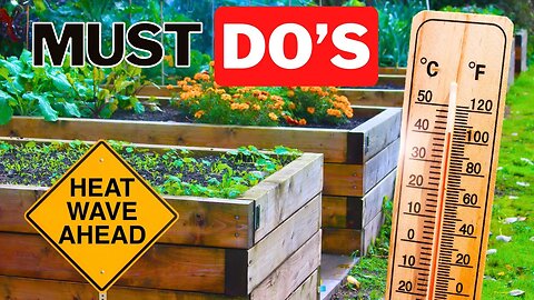 What Does Heat Stress In The Garden Look Like?