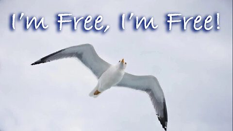 I'm Free, I'm Free -- Instrumental Worship Chorus