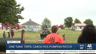 One Tank Trips: Carolyn's Pumpkin Patch