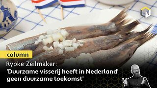 ‘Duurzame visserij heeft in Nederland geen duurzame toekomst’, zegt columnist Rypke Zeilmaker