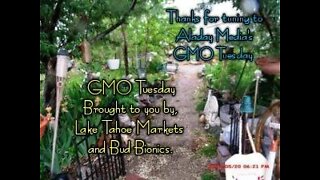 Today on GMO Tuesday...GMO Mosquitoes & Our New Plant and Water Ambassador...