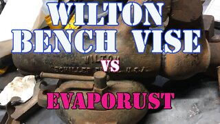 Wilton Bullet Vise - Into the Evaporust Bucket - EVAPORUST is Awesome