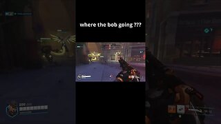 where the bob going