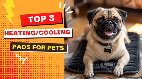 Best Pet Heating Pads 2024: Top 3 Picks for Your Furry Friends!