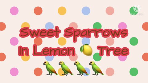 Sweet Sparrows in Lemon 🍋 Tree