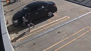 Woman Sentenced To A Year In Jail After CCTV Cam Captured Her Throwing Her Dog Off A Parking Garage