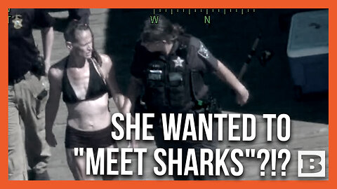 Woman ARRESTED After Allegedly Leaving Toddler in Car to Go Swimming to "Meet SHARKS"