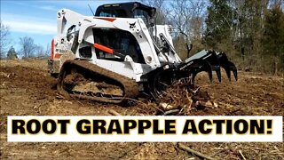 Clearing Land with a Grapple & Bobcat T650 for future food plot for deer