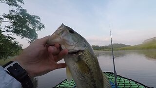 Bass Fishing | Yum Wooly Bug