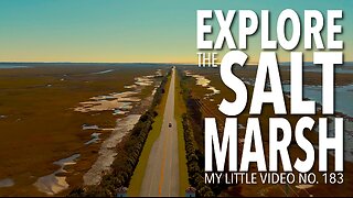 MY LITTLE VIDEO NO. 183--Exploring the Salt Marsh