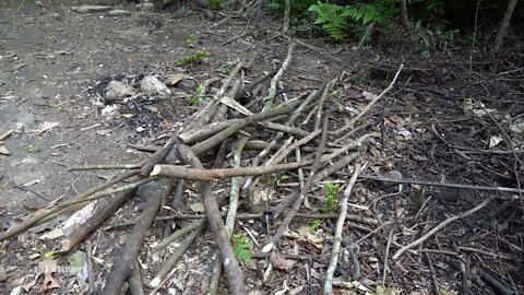 5* Build a bamboo fence around the house to set up animal traps.