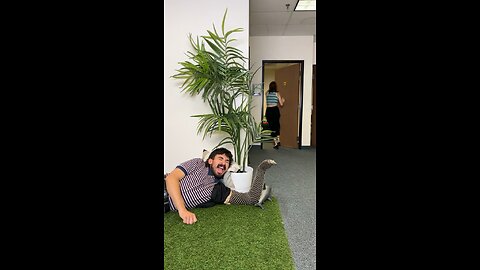 Man's artificial snake prank terrifies co-workers! #shorts
