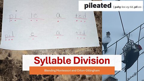 What is Syllable Division? (Blending Montessori with Orton-Gillingham)