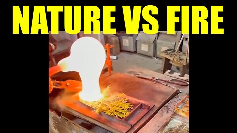Nature vs. Fire