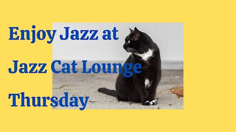 Enjoy Jazz at Jazz Cat Lounge Thursday