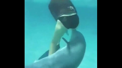 Woman swims with dolphin and quickly finds out