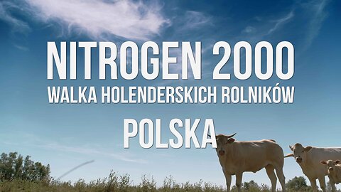 NITROGEN 2000: Walka holenderskich rolników | POLSKA
