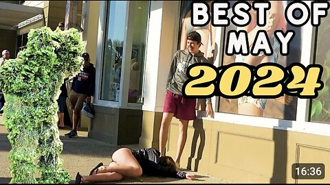 Ultimate Best of Bushman Compilation for May 2024!