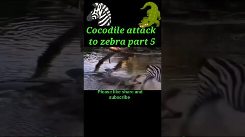 Cocodile attack to zebra 🦓2022 |#shorts #shortvideo #youtubeshorts