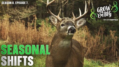 Follow the Seasonal Shifts in Whitetails