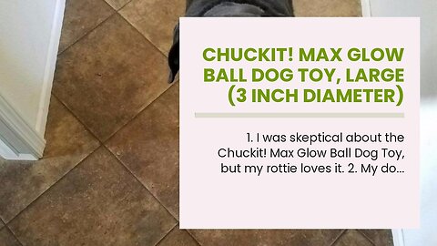 Chuckit! Max Glow Ball Dog Toy, Large (3 Inch Diameter) for dogs 6-100 lbs, Pack of 1