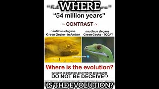 Where is the Evolution?