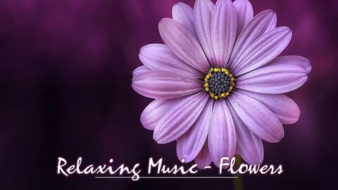 Relaxing Music to soothe and nourish your soul - "Flowers"