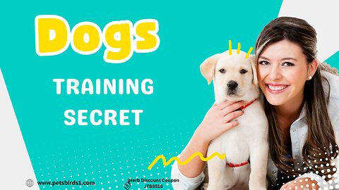 The Ultimate Guide to Dog Training #pets_birds