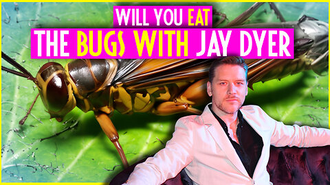 Jay Dyer Eat The Bugz Already!