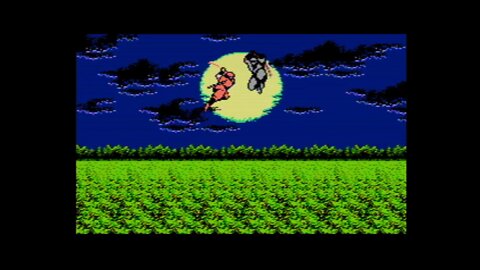 Ninja Gaiden (NES) Intro