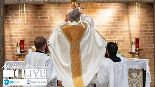 All seven sacraments of the Church are divinely instituted by Christ